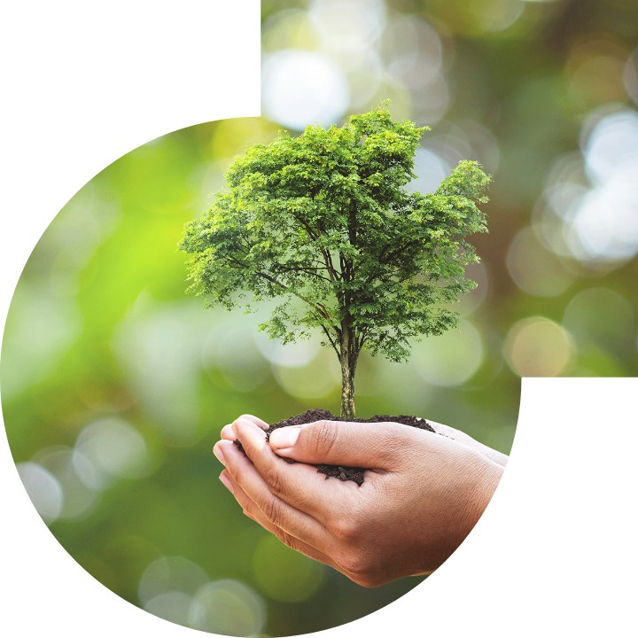 关怀人类、文化、环境与社会